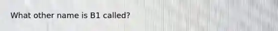 What other name is B1 called?