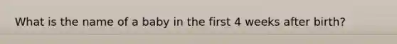 What is the name of a baby in the first 4 weeks after birth?