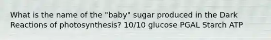 What is the name of the "baby" sugar produced in the Dark Reactions of photosynthesis? 10/10 glucose PGAL Starch ATP