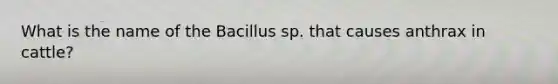 What is the name of the Bacillus sp. that causes anthrax in cattle?