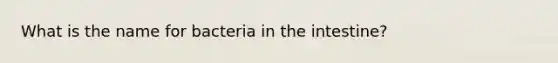 What is the name for bacteria in the intestine?