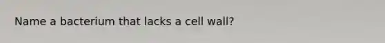 Name a bacterium that lacks a cell wall?