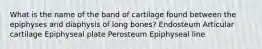 What is the name of the band of cartilage found between the epiphyses and diaphysis of long bones? Endosteum Articular cartilage Epiphyseal plate Perosteum Epiphyseal line