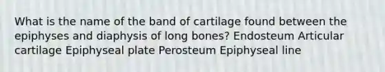 What is the name of the band of cartilage found between the epiphyses and diaphysis of long bones? Endosteum Articular cartilage Epiphyseal plate Perosteum Epiphyseal line