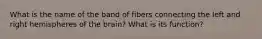 What is the name of the band of fibers connecting the left and right hemispheres of the brain? What is its function?