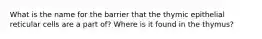 What is the name for the barrier that the thymic epithelial reticular cells are a part of? Where is it found in the thymus?