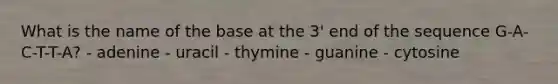 What is the name of the base at the 3' end of the sequence G-A-C-T-T-A? - adenine - uracil - thymine - guanine - cytosine