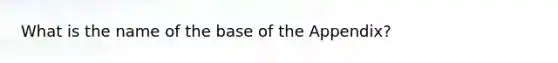 What is the name of the base of the Appendix?