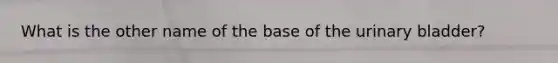 What is the other name of the base of the urinary bladder?