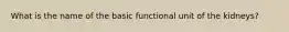 What is the name of the basic functional unit of the kidneys?