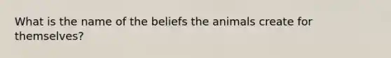 What is the name of the beliefs the animals create for themselves?