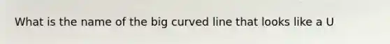 What is the name of the big <a href='https://www.questionai.com/knowledge/k6NAOD2AuR-curved-line' class='anchor-knowledge'>curved line</a> that looks like a U