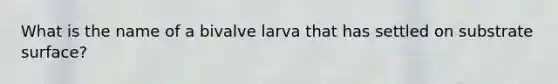 What is the name of a bivalve larva that has settled on substrate surface?