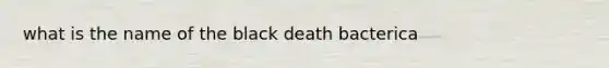 what is the name of the black death bacterica