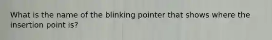 What is the name of the blinking pointer that shows where the insertion point is?