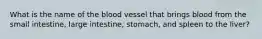 What is the name of the blood vessel that brings blood from the small intestine, large intestine, stomach, and spleen to the liver?