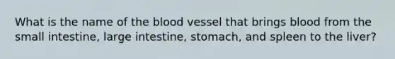 What is the name of the blood vessel that brings blood from the small intestine, large intestine, stomach, and spleen to the liver?