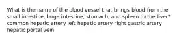 What is the name of the blood vessel that brings blood from the small intestine, large intestine, stomach, and spleen to the liver? common hepatic artery left hepatic artery right gastric artery hepatic portal vein