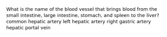 What is the name of the blood vessel that brings blood from the small intestine, large intestine, stomach, and spleen to the liver? common hepatic artery left hepatic artery right gastric artery hepatic portal vein