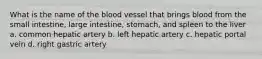 What is the name of the blood vessel that brings blood from the small intestine, large intestine, stomach, and spleen to the liver a. common hepatic artery b. left hepatic artery c. hepatic portal vein d. right gastric artery