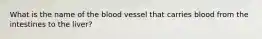 What is the name of the blood vessel that carries blood from the intestines to the liver?