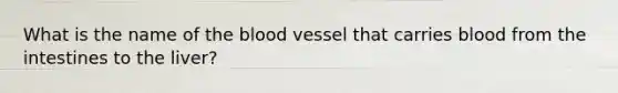 What is the name of the blood vessel that carries blood from the intestines to the liver?