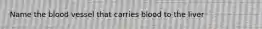 Name the blood vessel that carries blood to the liver