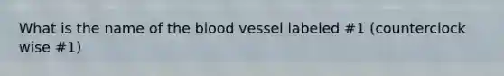 What is the name of the blood vessel labeled #1 (counterclock wise #1)