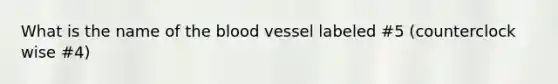 What is the name of the blood vessel labeled #5 (counterclock wise #4)