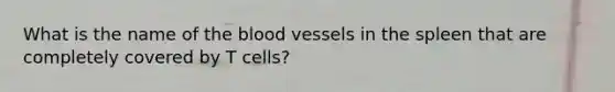 What is the name of <a href='https://www.questionai.com/knowledge/k7oXMfj7lk-the-blood' class='anchor-knowledge'>the blood</a> vessels in the spleen that are completely covered by T cells?