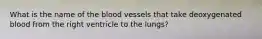 What is the name of the blood vessels that take deoxygenated blood from the right ventricle to the lungs?