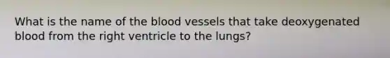 What is the name of <a href='https://www.questionai.com/knowledge/k7oXMfj7lk-the-blood' class='anchor-knowledge'>the blood</a> vessels that take deoxygenated blood from the right ventricle to the lungs?