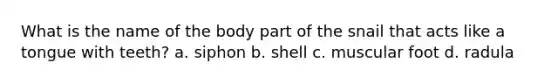 What is the name of the body part of the snail that acts like a tongue with teeth? a. siphon b. shell c. muscular foot d. radula