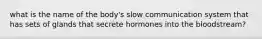 what is the name of the body's slow communication system that has sets of glands that secrete hormones into the bloodstream?