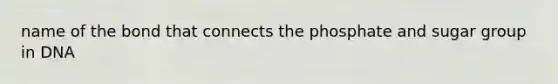 name of the bond that connects the phosphate and sugar group in DNA
