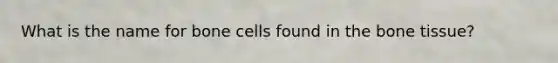 What is the name for bone cells found in the bone tissue?