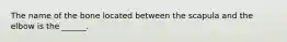 The name of the bone located between the scapula and the elbow is the ______.