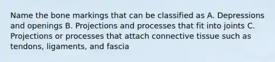 Name the bone markings that can be classified as A. Depressions and openings B. Projections and processes that fit into joints C. Projections or processes that attach connective tissue such as tendons, ligaments, and fascia