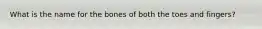 What is the name for the bones of both the toes and fingers?