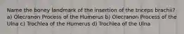 Name the boney landmark of the insertion of the triceps brachii? a) Olecranon Process of the Humerus b) Olecranon Process of the Ulna c) Trochlea of the Humerus d) Trochlea of the Ulna