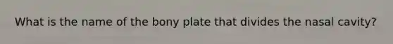 What is the name of the bony plate that divides the nasal cavity?