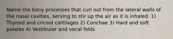 Name the bony processes that curl out from the lateral walls of the nasal cavities, serving to stir up the air as it is inhaled. 1) Thyroid and cricoid cartilages 2) Conchae 3) Hard and soft palates 4) Vestibular and vocal folds