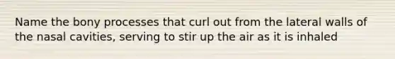 Name the bony processes that curl out from the lateral walls of the nasal cavities, serving to stir up the air as it is inhaled
