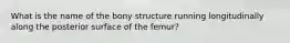 What is the name of the bony structure running longitudinally along the posterior surface of the femur?