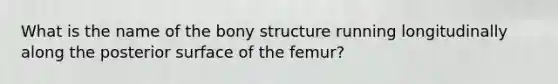 What is the name of the bony structure running longitudinally along the posterior surface of the femur?