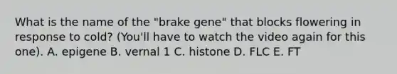 What is the name of the "brake gene" that blocks flowering in response to cold? (You'll have to watch the video again for this one). A. epigene B. vernal 1 C. histone D. FLC E. FT