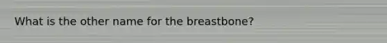 What is the other name for the breastbone?