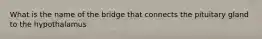 What is the name of the bridge that connects the pituitary gland to the hypothalamus