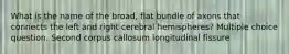 What is the name of the broad, flat bundle of axons that connects the left and right cerebral hemispheres? Multiple choice question. Second corpus callosum longitudinal fissure