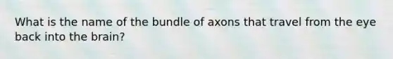 What is the name of the bundle of axons that travel from the eye back into the brain?